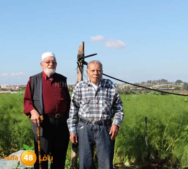 re7la tolkarem (2).JPG